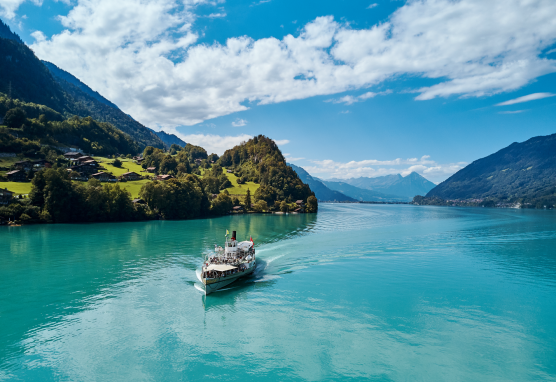 Ticket For The Bernese Oberland / Berner Oberland Pass