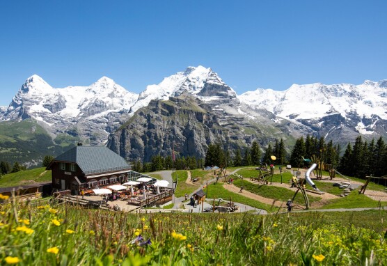 Allmendhubel Sommer H2A0080 webalbum 2 gall